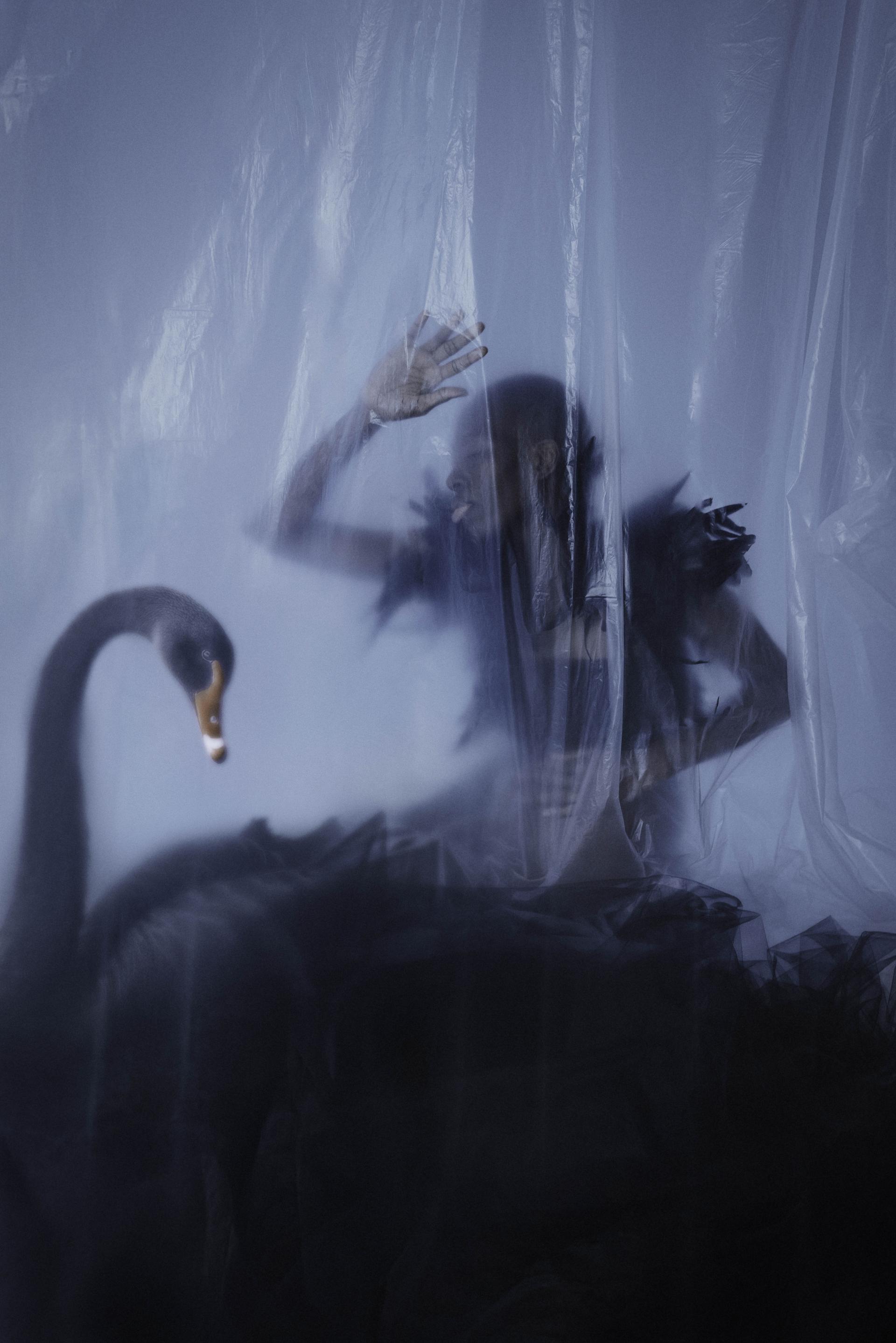 New York Photography Awards Winner - Black Swan