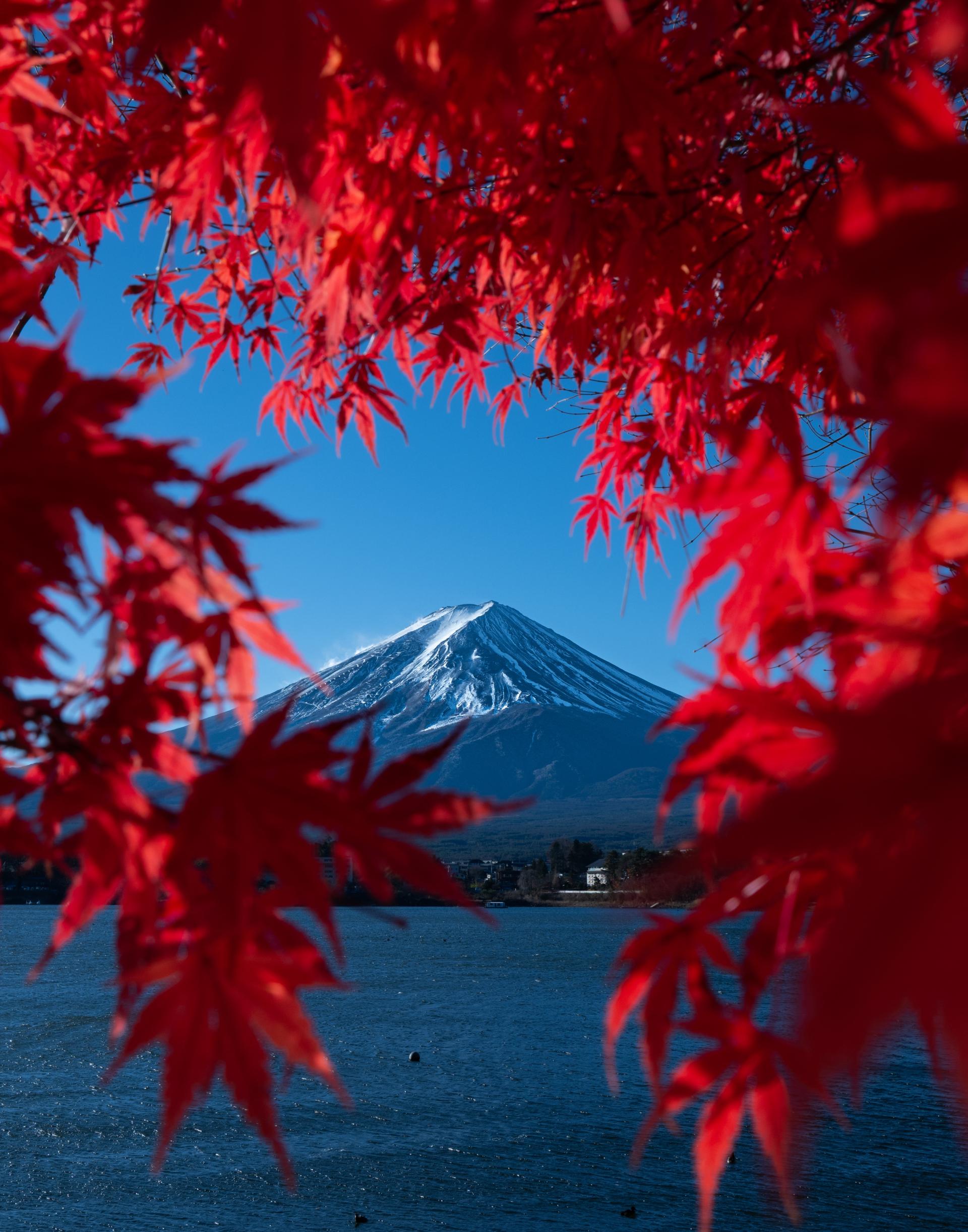 New York Photography Awards Winner - Mount Fuji Framed in Red