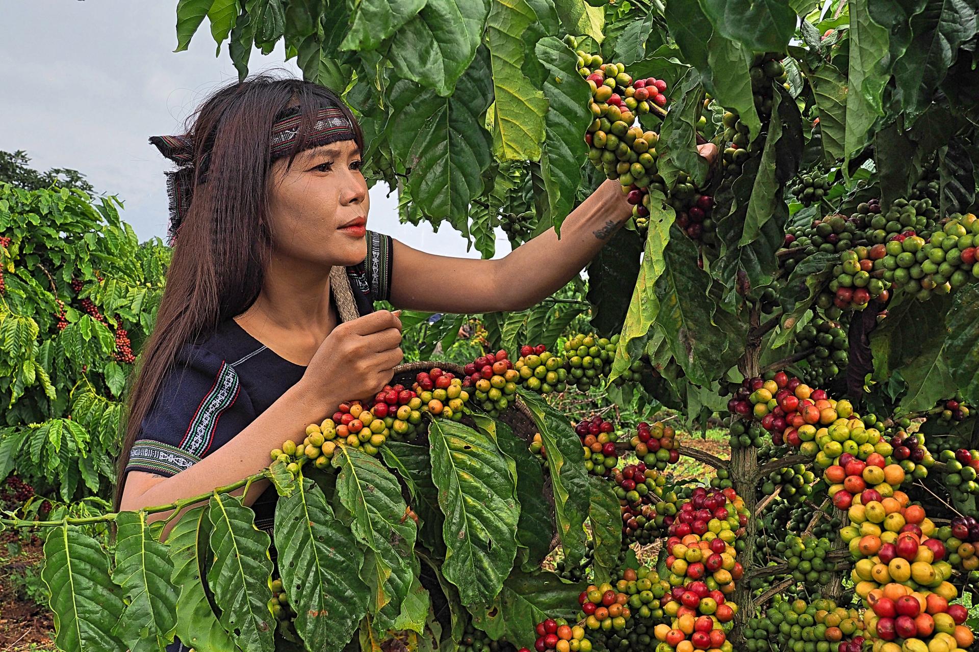 New York Photography Awards Winner - Coffee Lady