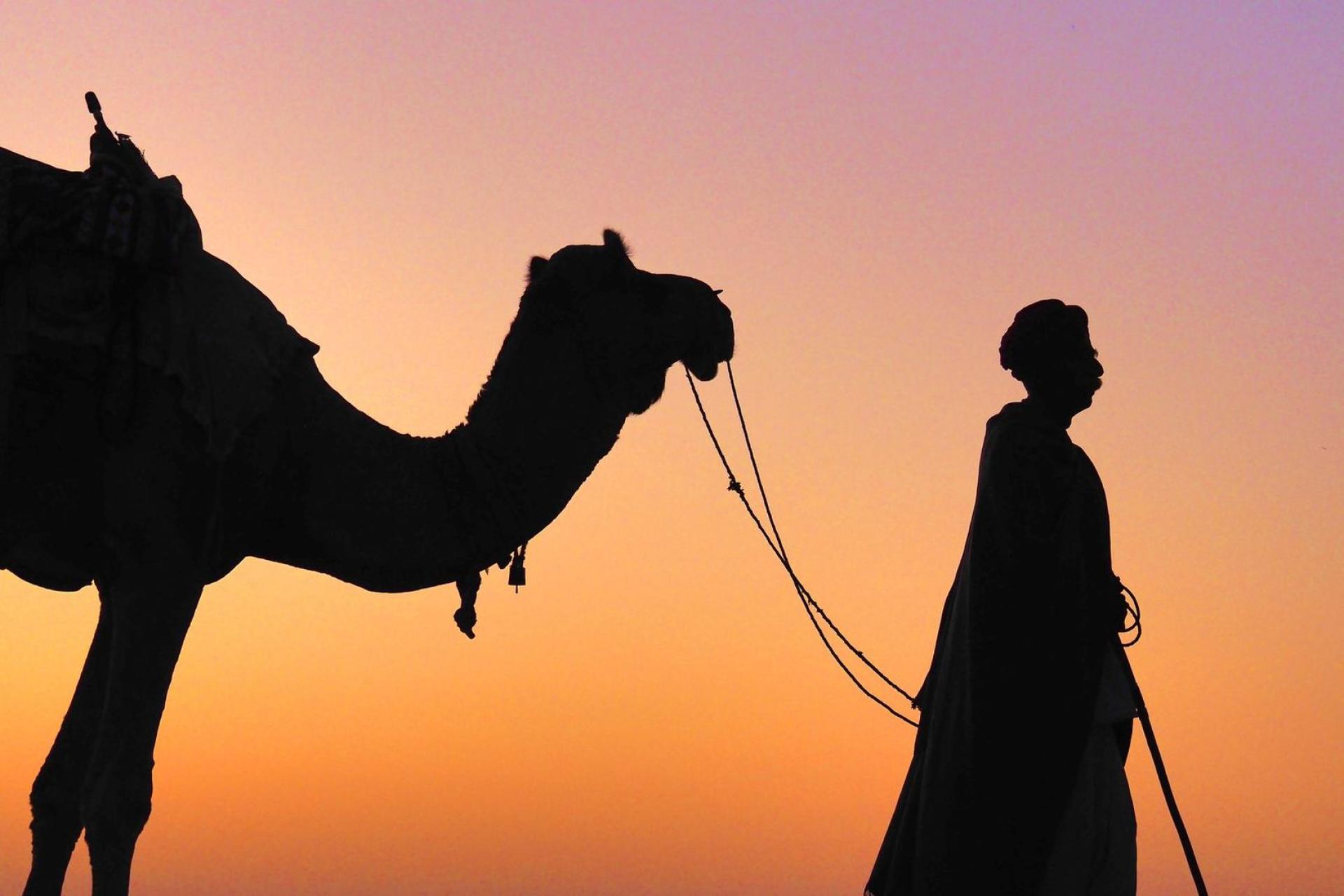 New York Photography Awards Winner - In the glow of the desert