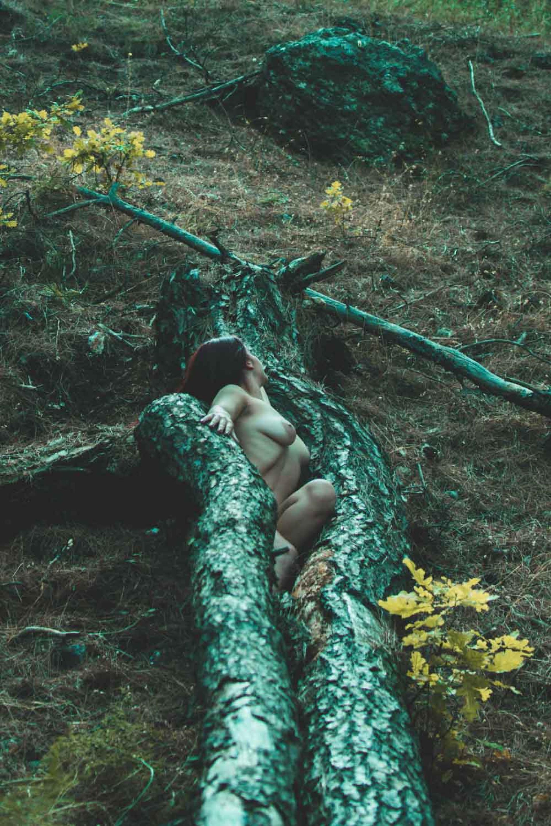 New York Photography Awards Winner - Adapting Perspectives