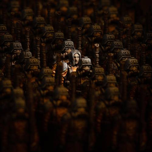 New York Photography Awards Winner